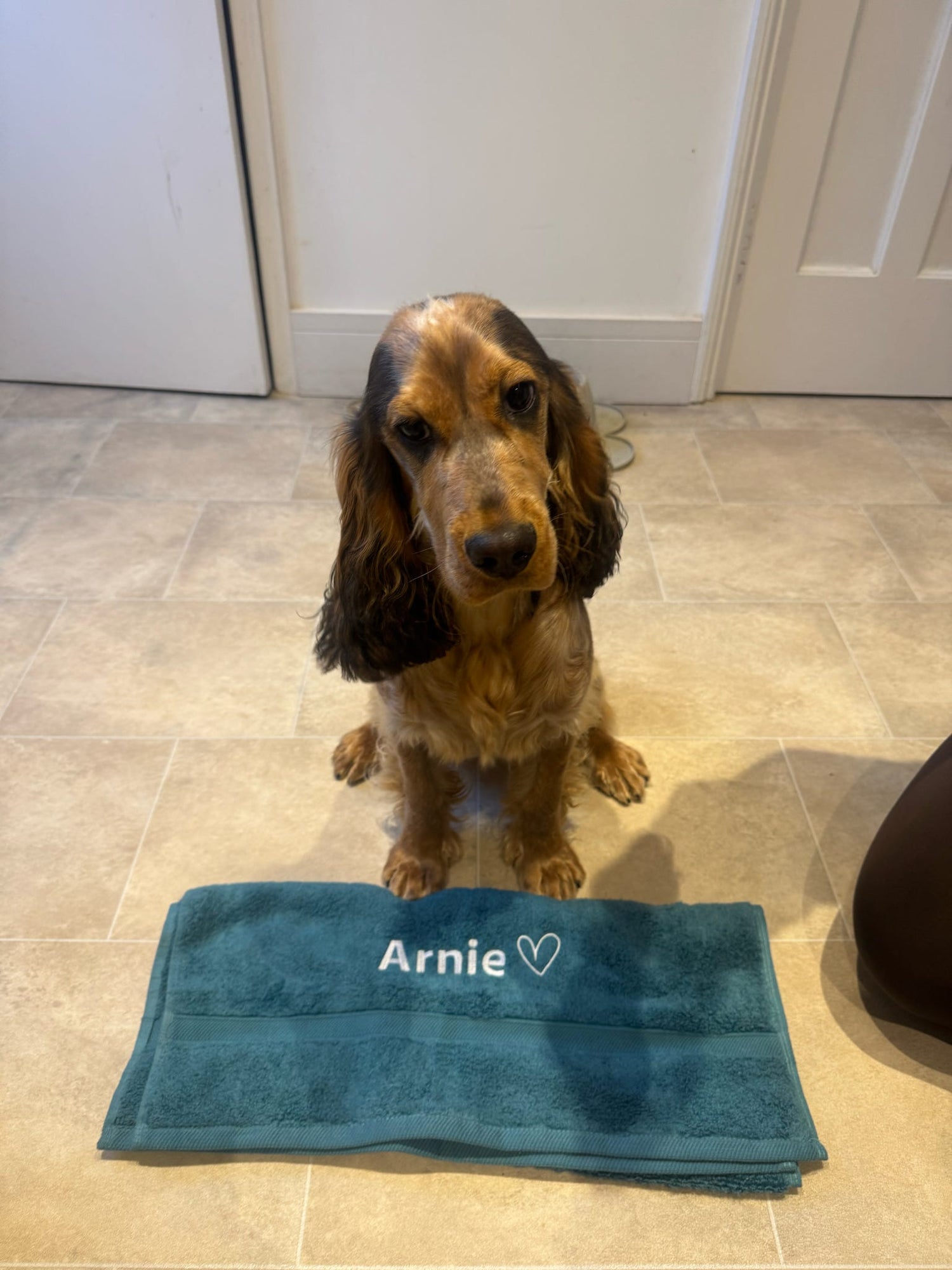 Personalised Pet Towels | Embroidered Dog & Cat Towels