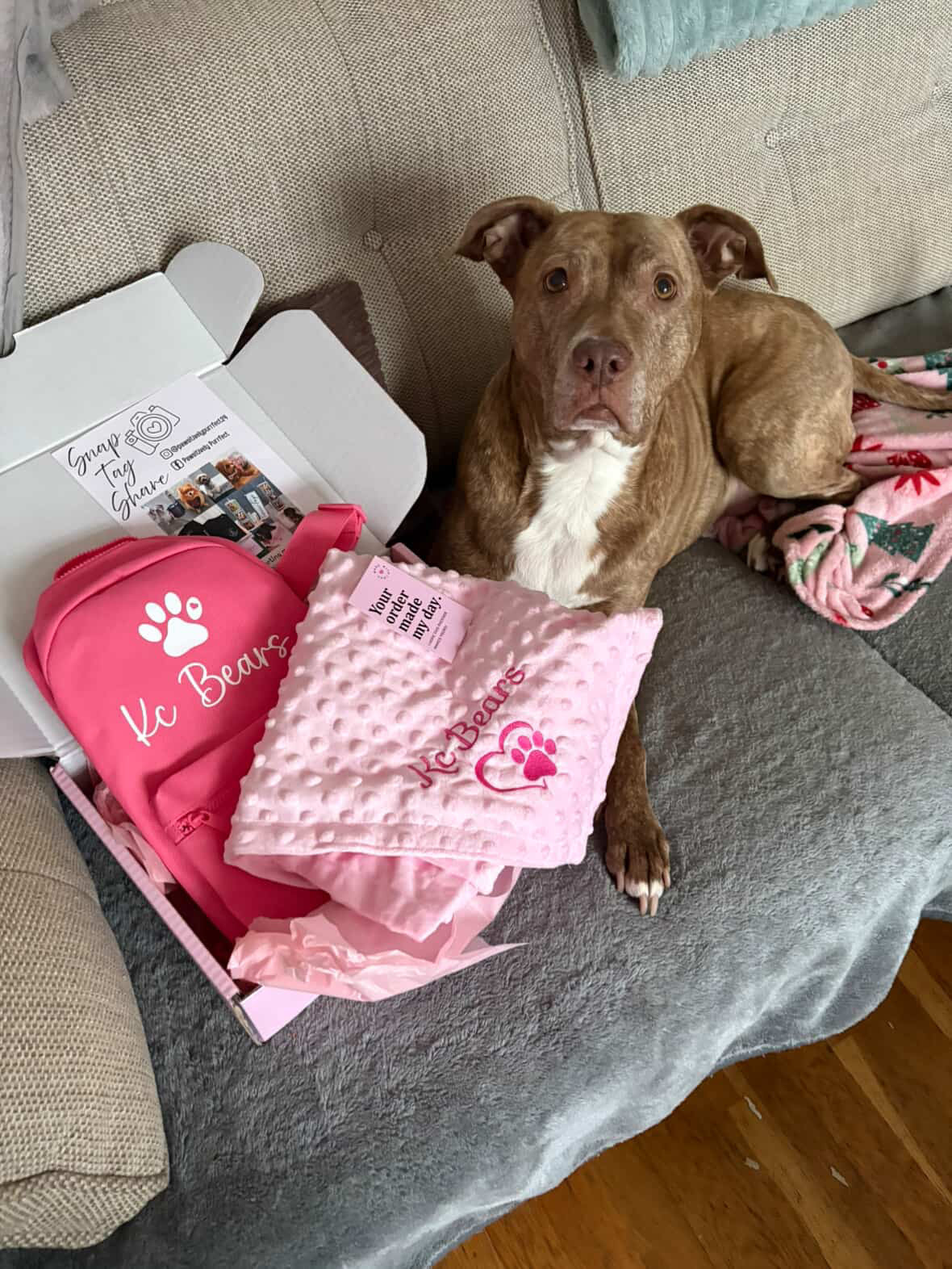 Personalised Pet Blankets | Custom Dog & Cat Design