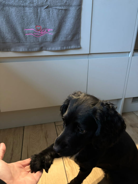 Human Hand & Paw Print Embroidered Pet Towel | Lots Of Colours