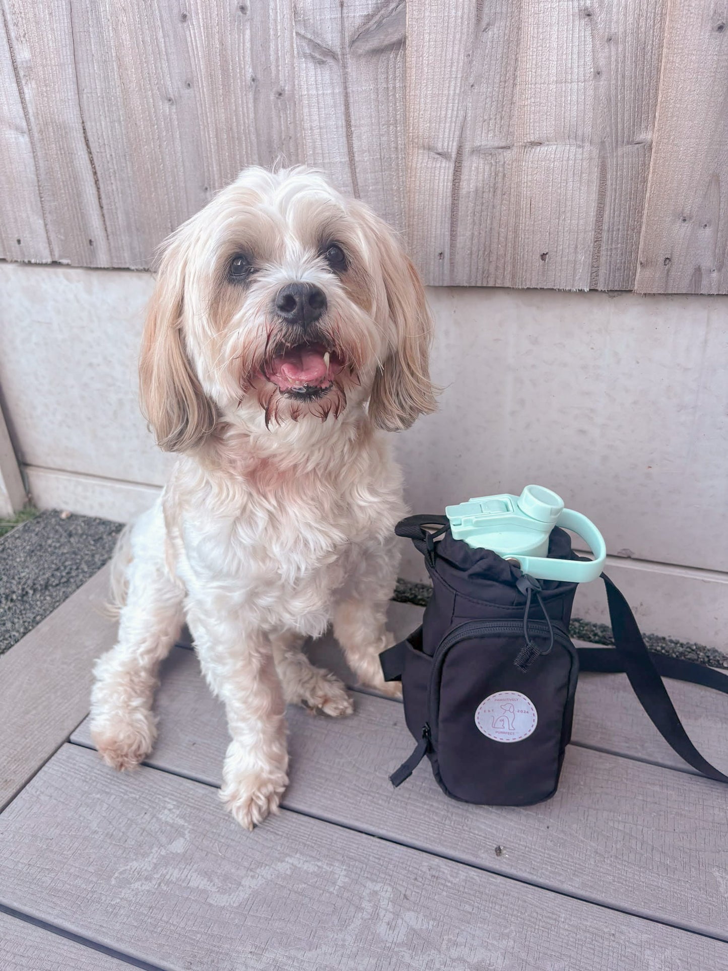 HydraPaws Bundle| Bottle | Bag