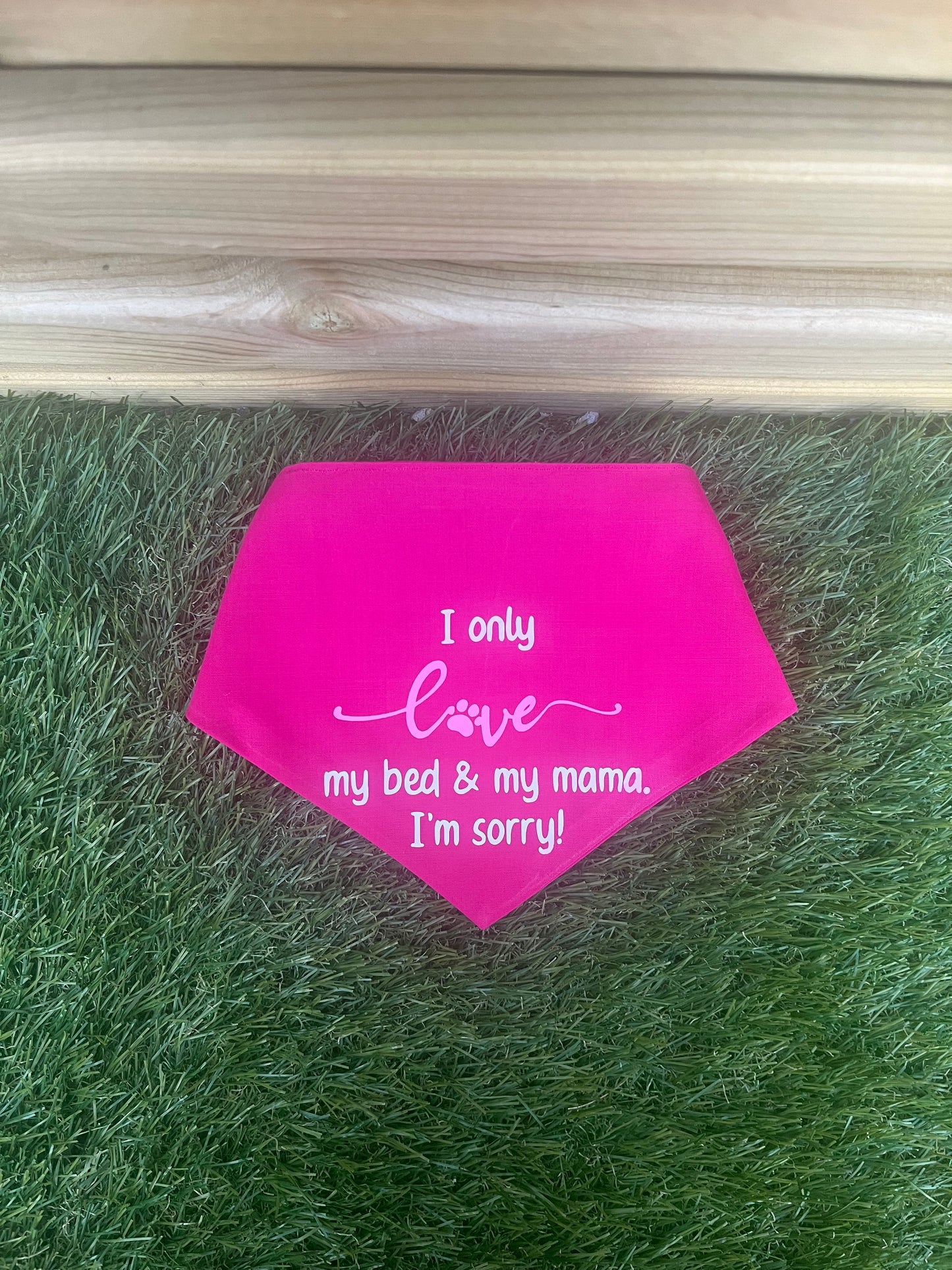Pet Bandana - Made to order - Pawsitively Purrfect