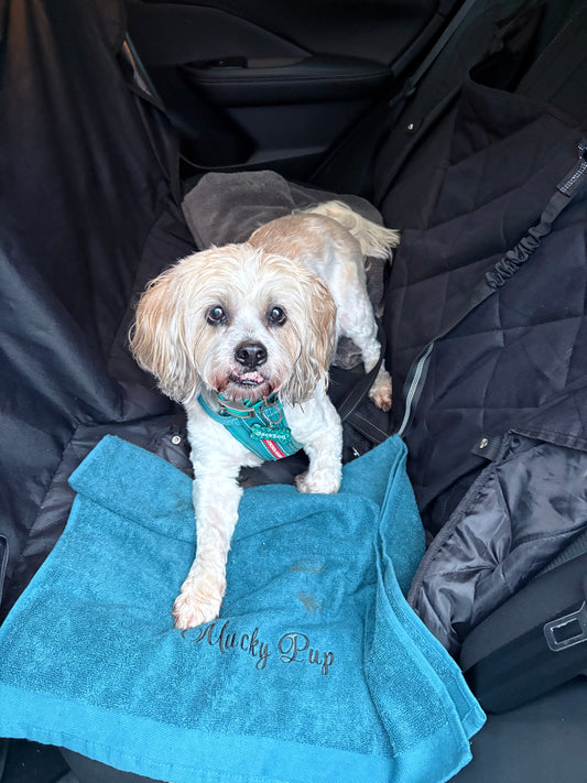 'Mucky Pup' Embroidered Pet Towel | Lots Of Colours