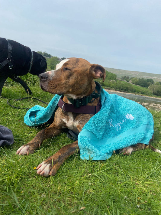 Personalised dog towel with embroidered pet name