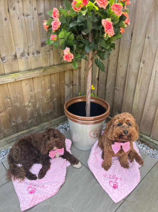 Personalised pet blanket with embroidered name and paw prints