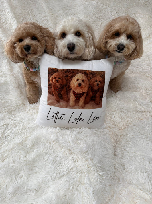 Personalised pet photo cushion featuring a favourite pet photograph