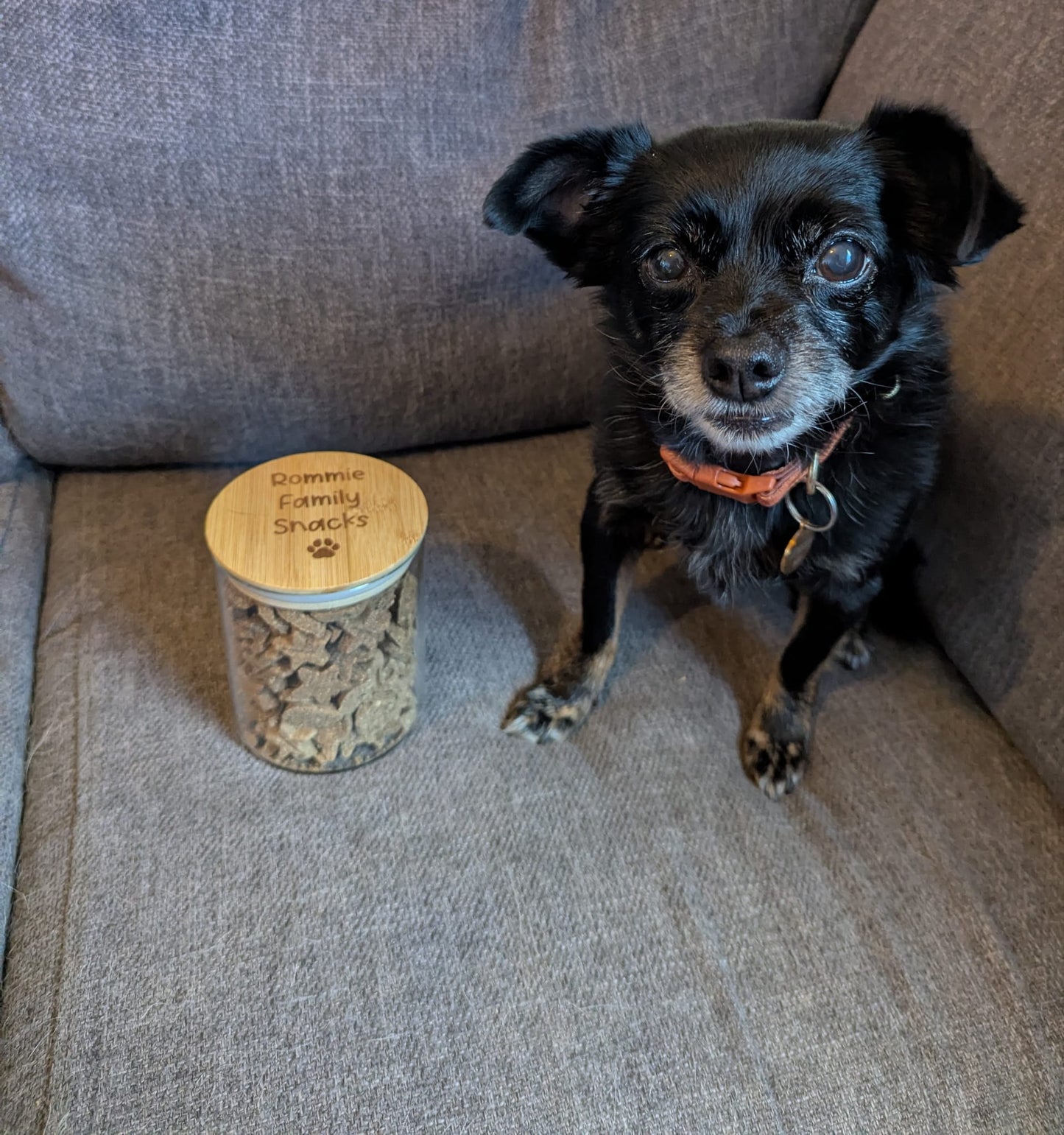 Personalised glass treat jar filled with pet treats for dogs, cats, rabbits, birds, and other small pets.