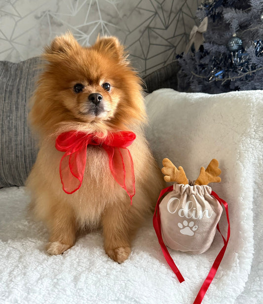 Our personalised reindeer Christmas gift bag