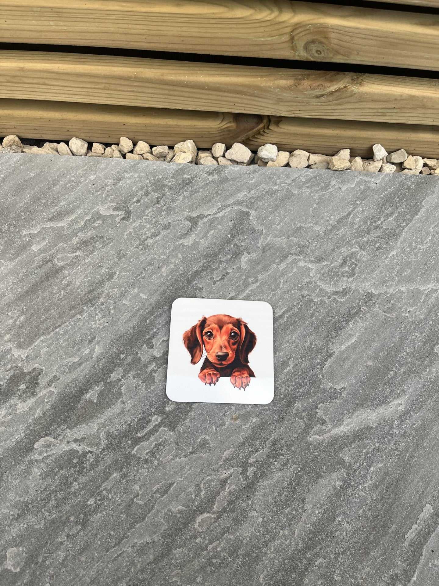 Pet Themed Cork Backed Coasters- Personalised- Please contact us for discuss design