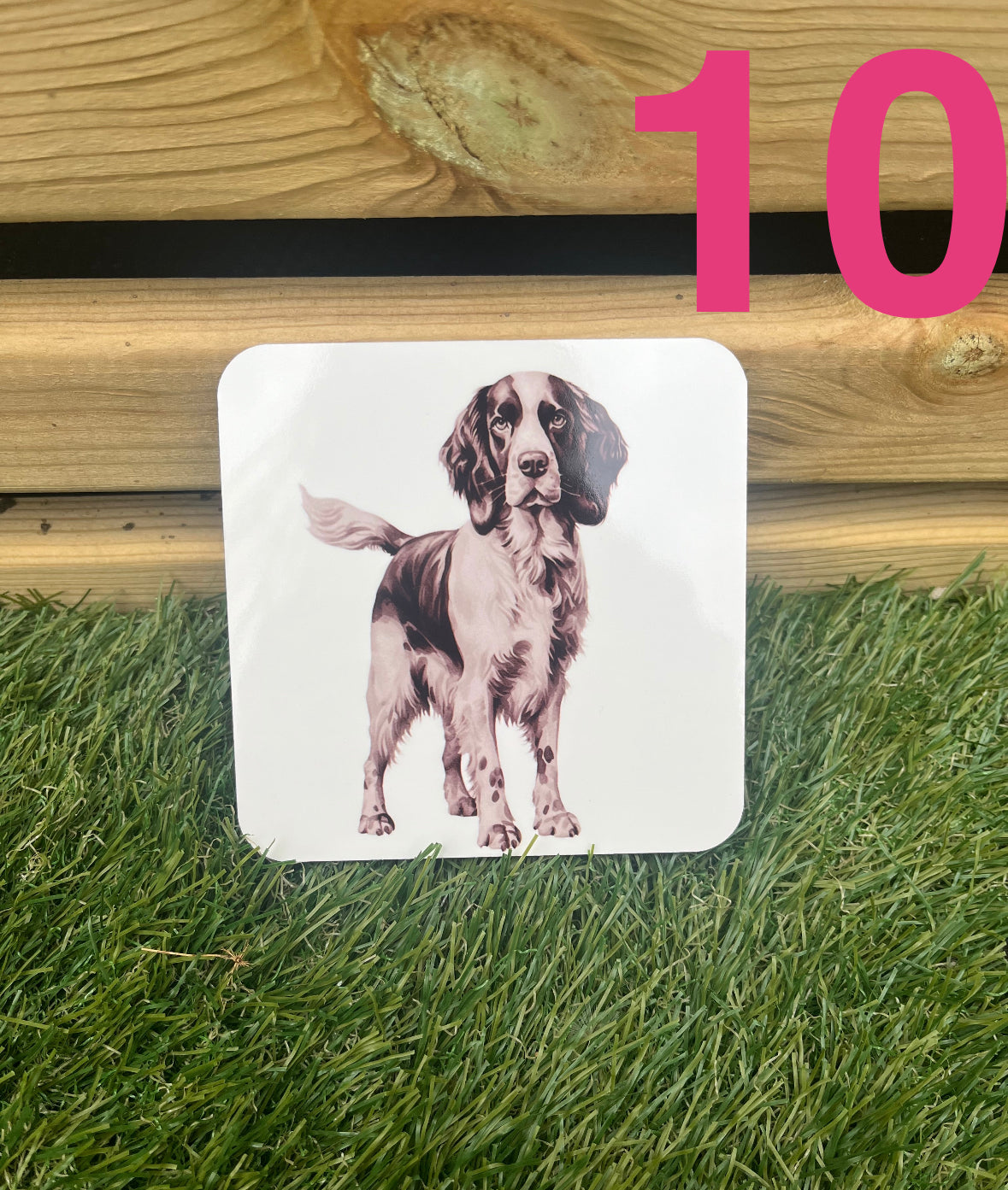 Coaster with a dog illustration on grass and wooden surface