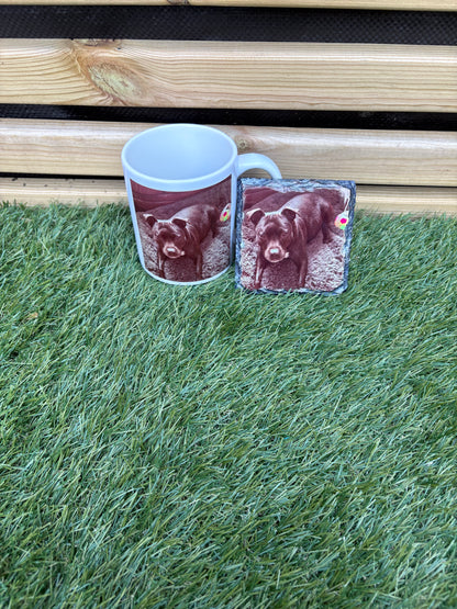 Pet Design Mug 11oz & Coaster l Pet Gifts For Humans l PERSONALISED
