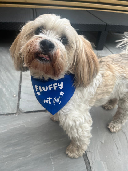 Pet Bandana - Made to order - Pawsitively Purrfect