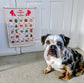 Personalised Advent Calendar for Kids & Pets | Christmas Countdown