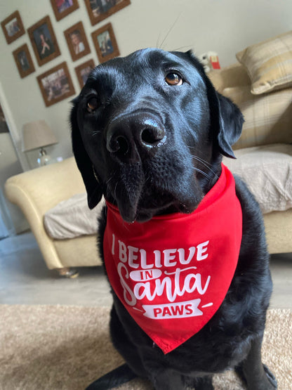 Christmas Pet Bandana - One Size - Choose Design