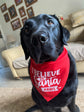 Christmas Pet Bandana | One Size | Choose Design