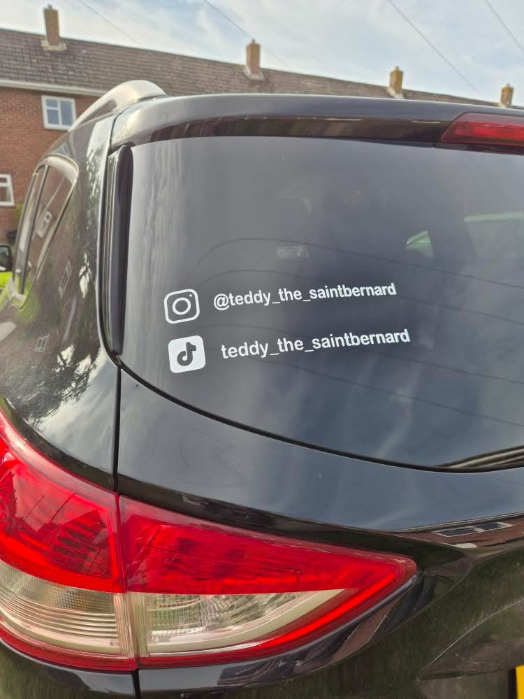 Personalised Car Window Vinyl Decal | Great For Businesses & Pet Social Media