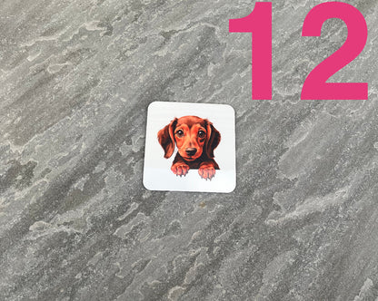 Sticker of a dachshund on a textured surface with the number 12 in pink.