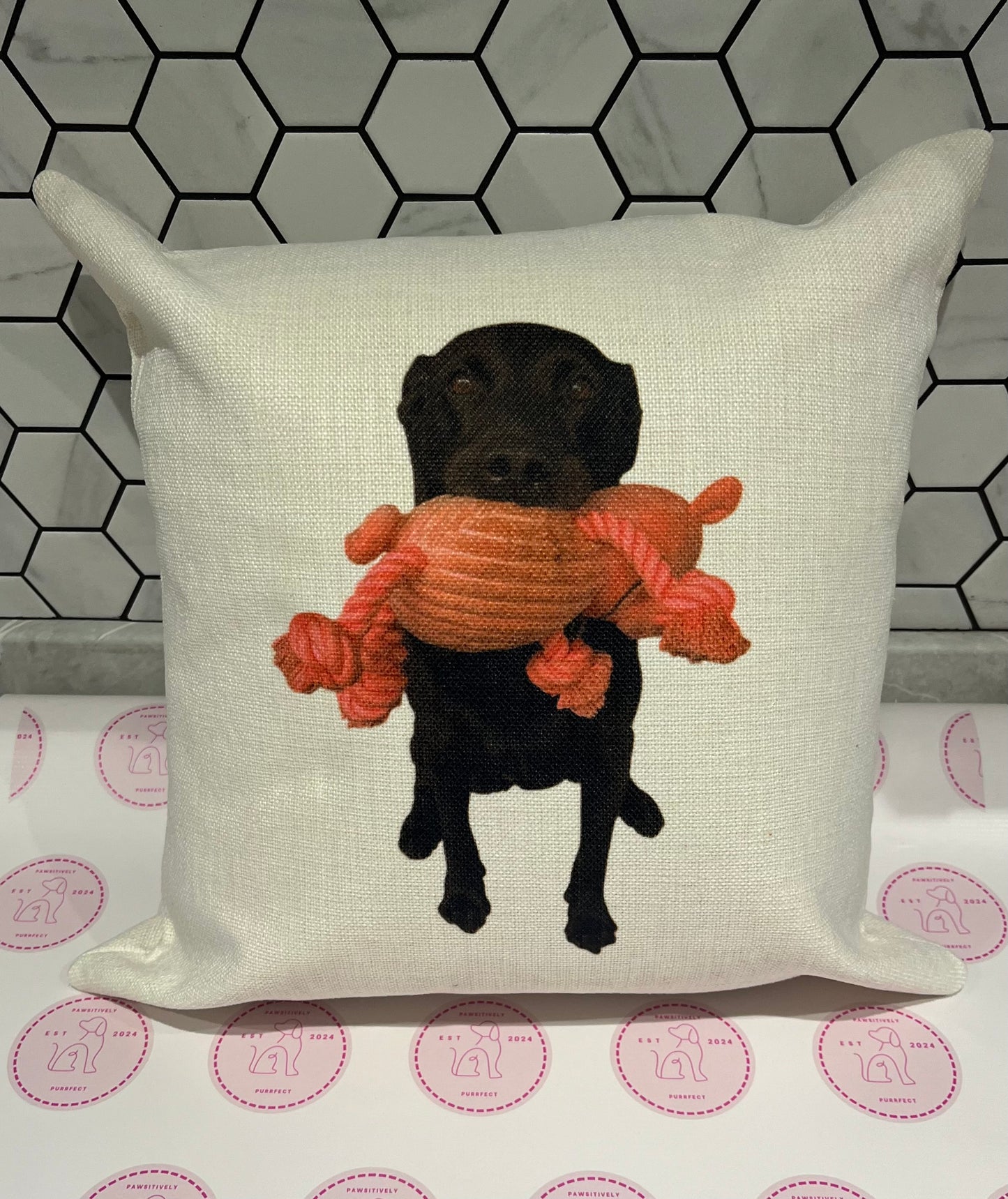 Personalised Cushions - Pawsitively Purrfect