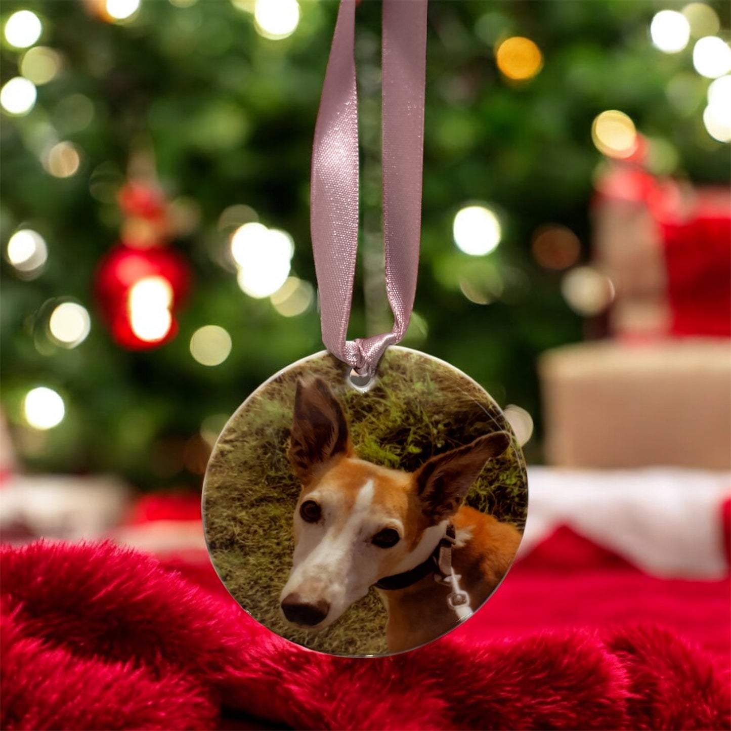 Personalised Christmas Pet Bauble Ornament