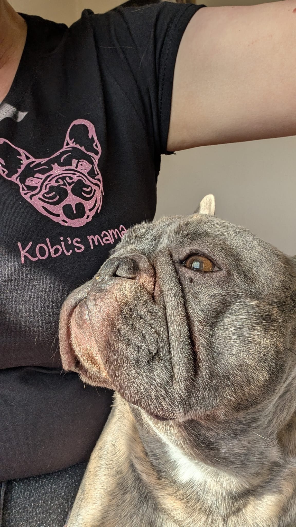 Person wearing a black t-shirt with a pink dog graphic and 'Kobi's mama' text, sitting next to a gray dog.