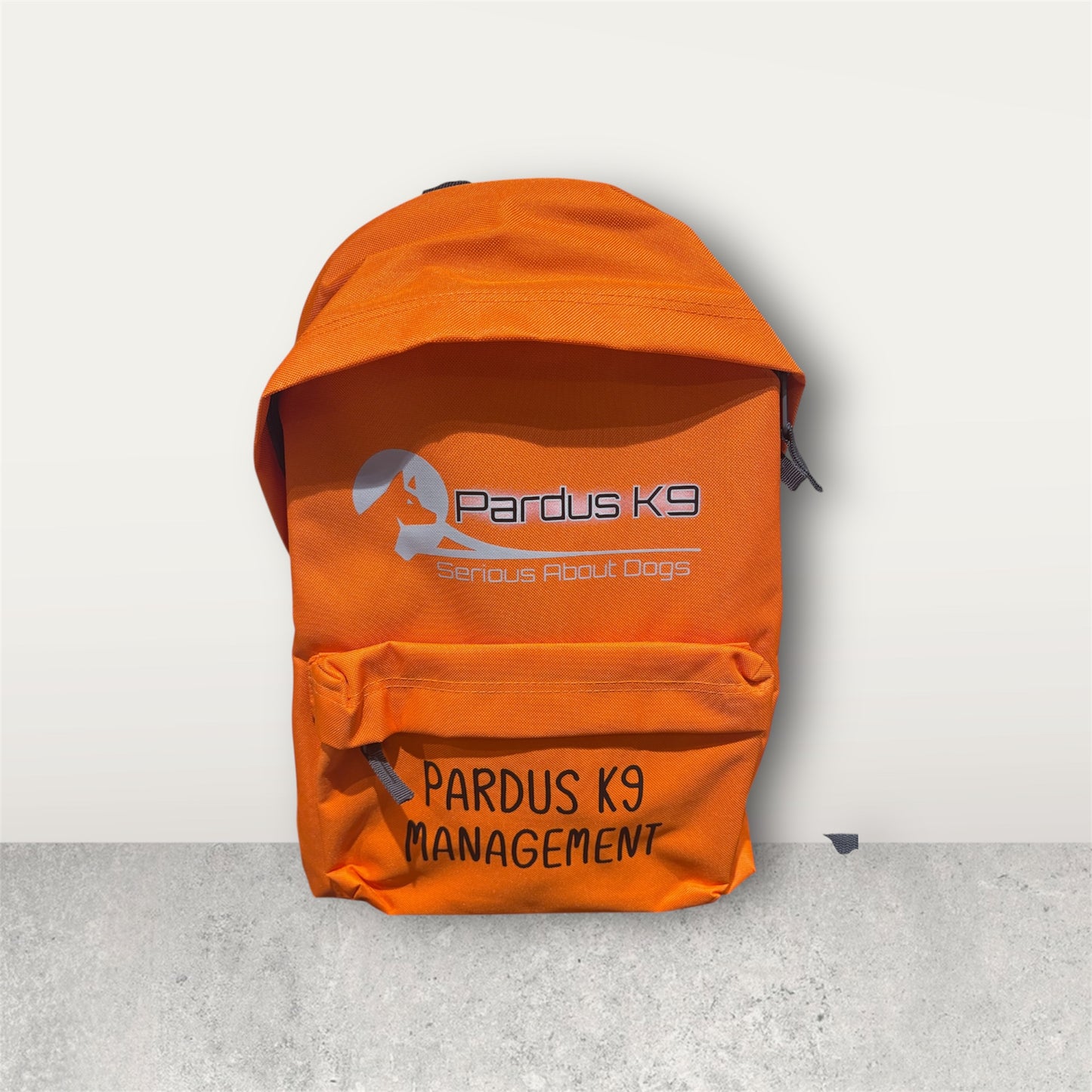 Business Backpack