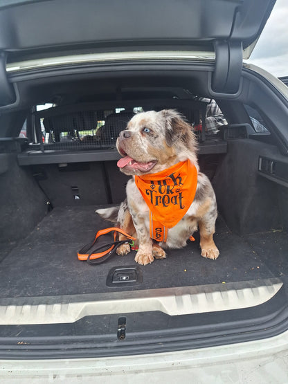 Halloween Pet Bandana | One Size | Choose Design