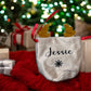 Personalised Christmas Reindeer Drawstring Bag | Perfect For Pets, Kids, Businesses