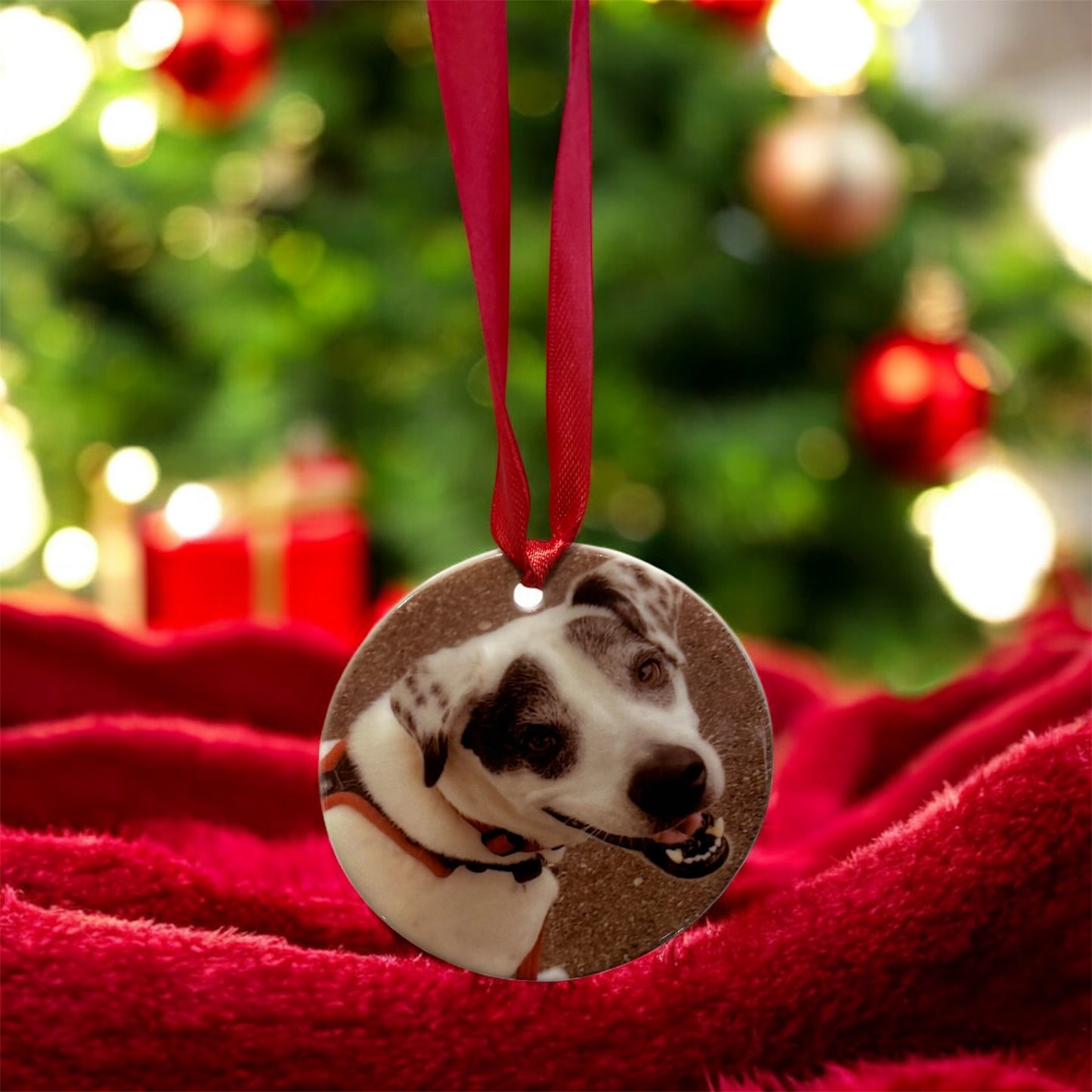 Personalised Christmas Pet Bauble Ornament