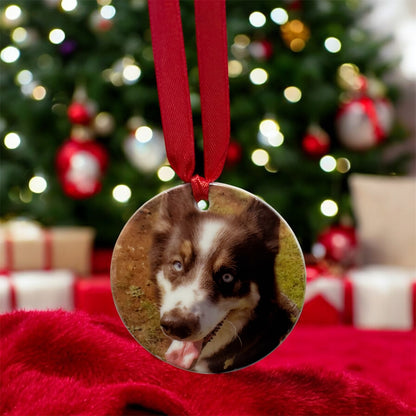 Personalised Christmas Pet Bauble Ornament