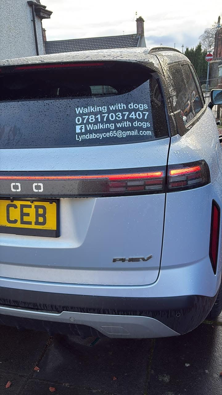 Personalised Car Window Vinyl Decal | Great For Businesses & Pet Social Media