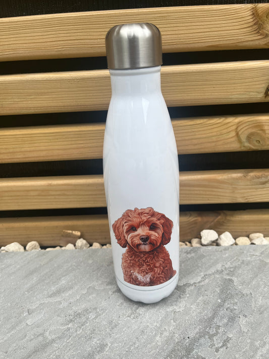 Pet Themed Stainless Steel Double Walled Bottle 500ml