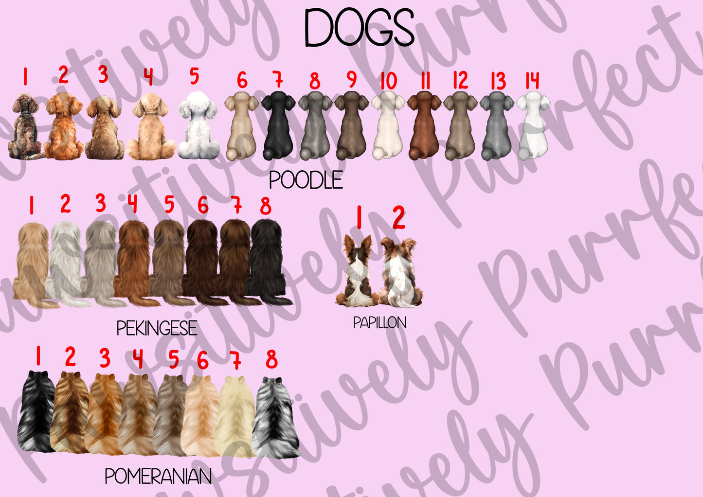 Custom Family Design