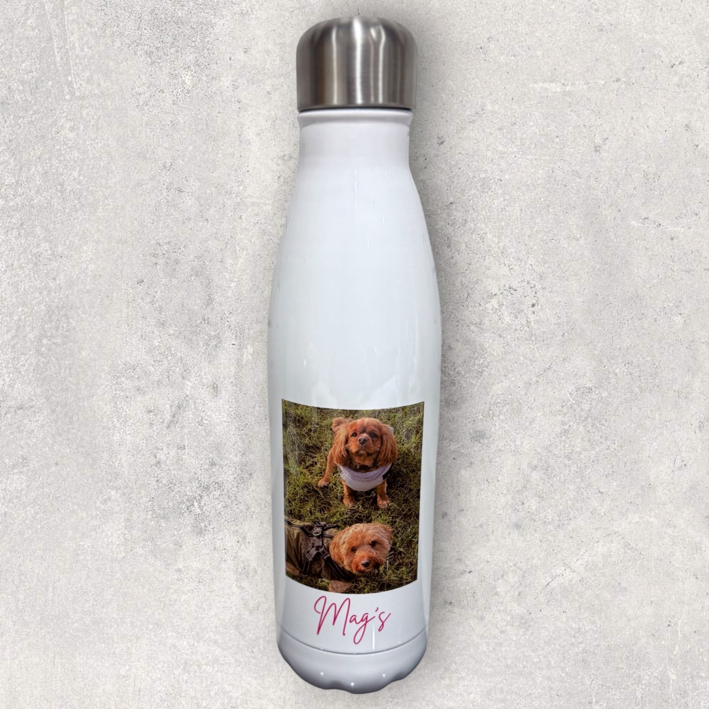 Pet Themed Thermal Stainless Steel Double Walled Bottle 500ml