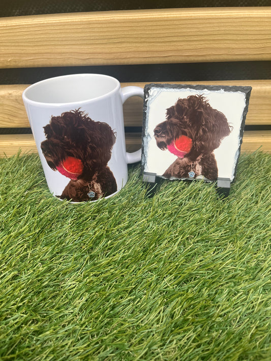 Pet Design Mug 11oz & Coaster- Personalised - Please contact us to discuss design