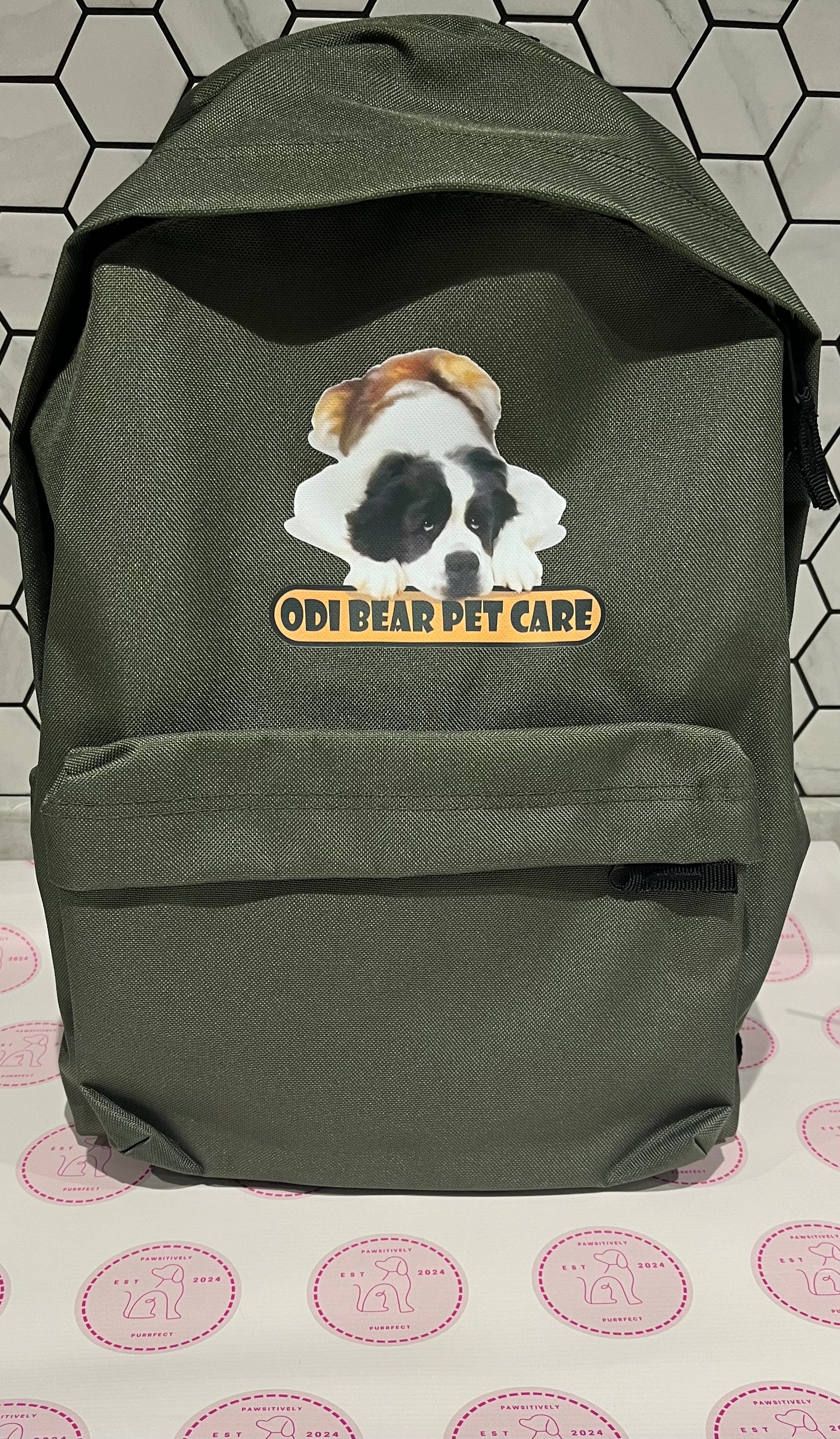 Business Backpack