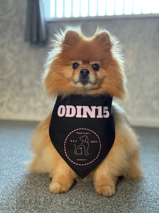 Business/Personal Custom Pet  Bandana | Own Logo/Design