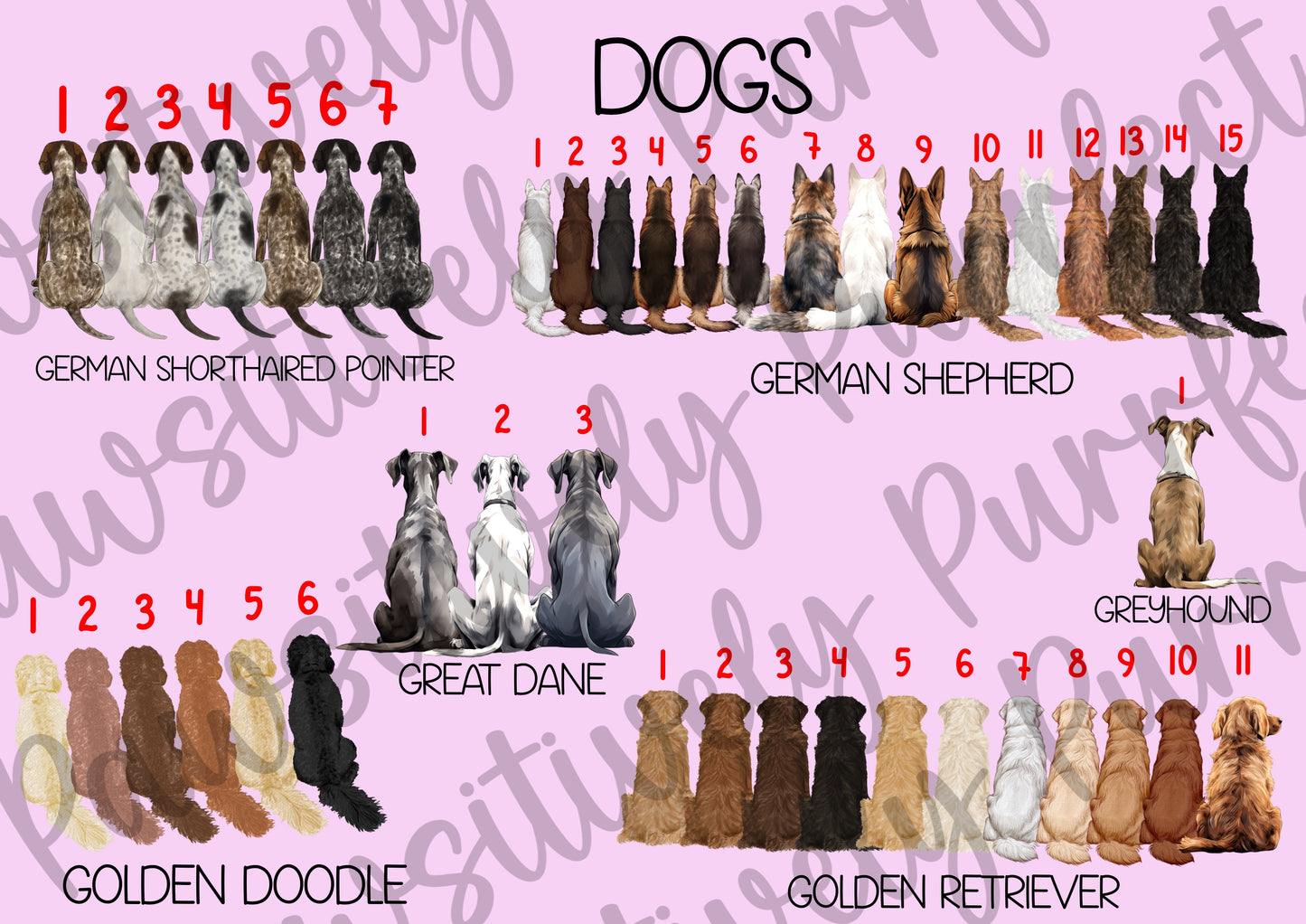Custom Family Design