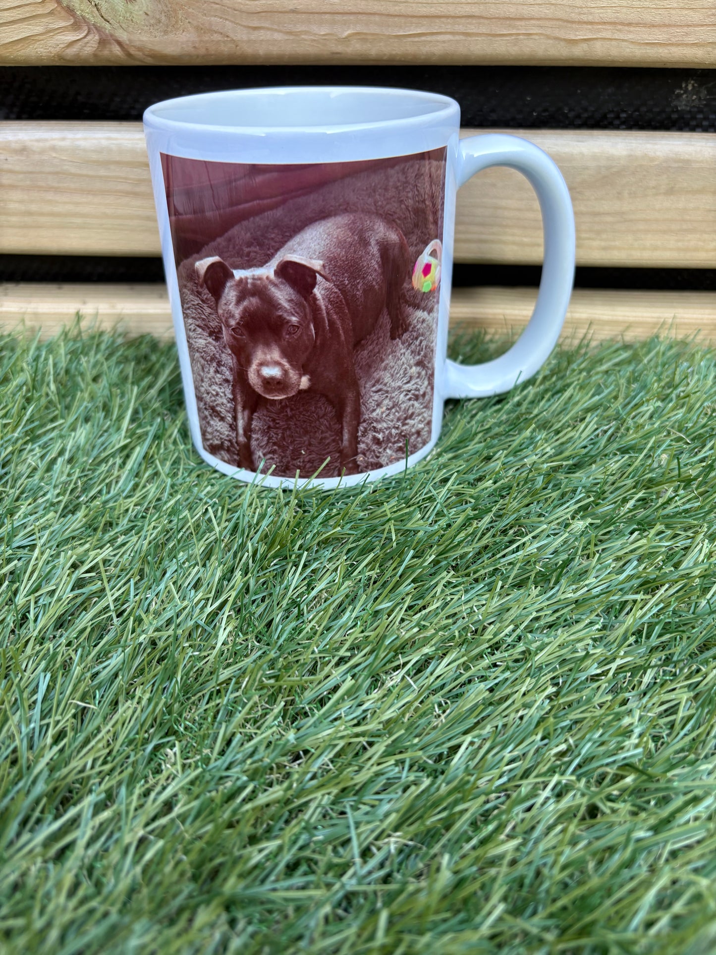 Pet Design Mug l Personalised Pet Gifts For Humans l PERSONALISED