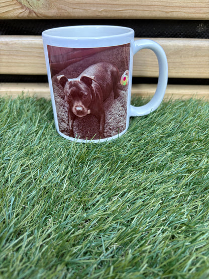 Pet Design Mug l Personalised Pet Gifts For Humans l PERSONALISED
