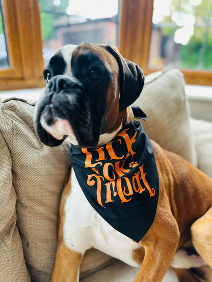 Halloween Pet Bandana | One Size | Choose Design