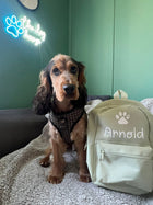 Personalised Pet Mini Backpacks