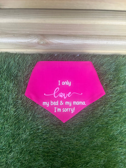 Pet Bandana - Made to order - Pawsitively Purrfect