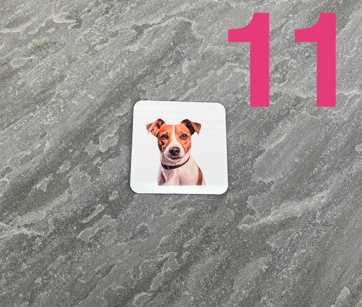 Square coaster with a dog's face on a textured gray surface with the number 11 in pink.