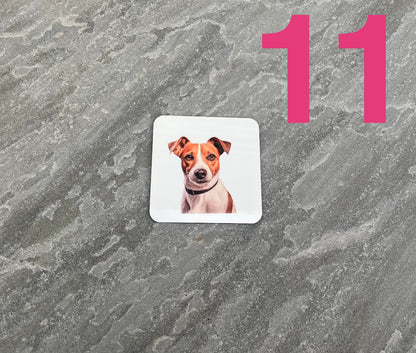 Square coaster with a dog's face on a textured gray surface with the number 11 in pink.