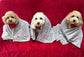 Embroidered Personalised Pet Blankets
