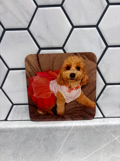 Pet Themed Coasters | Personalised Pet Gifts For Humans | PERSONALISED