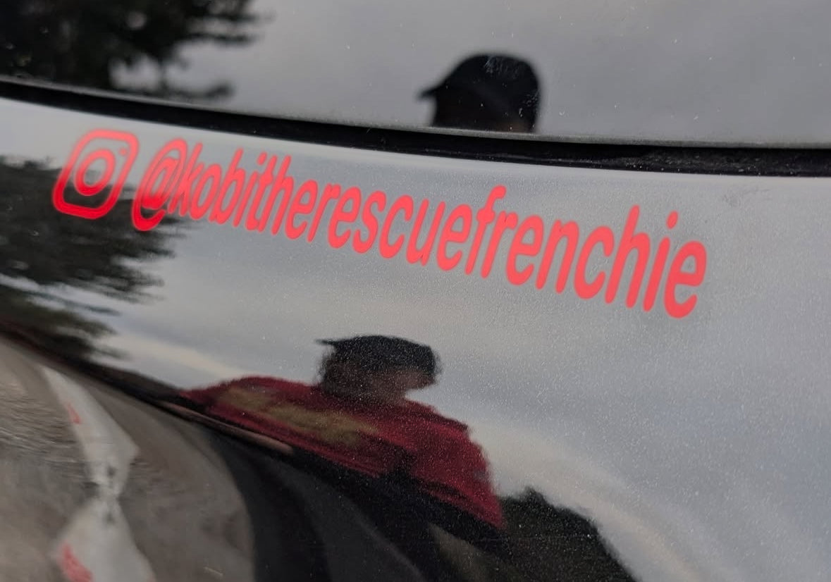 Personalised Car Window Vinyl Decal | Great For Businesses & Pet Social Media