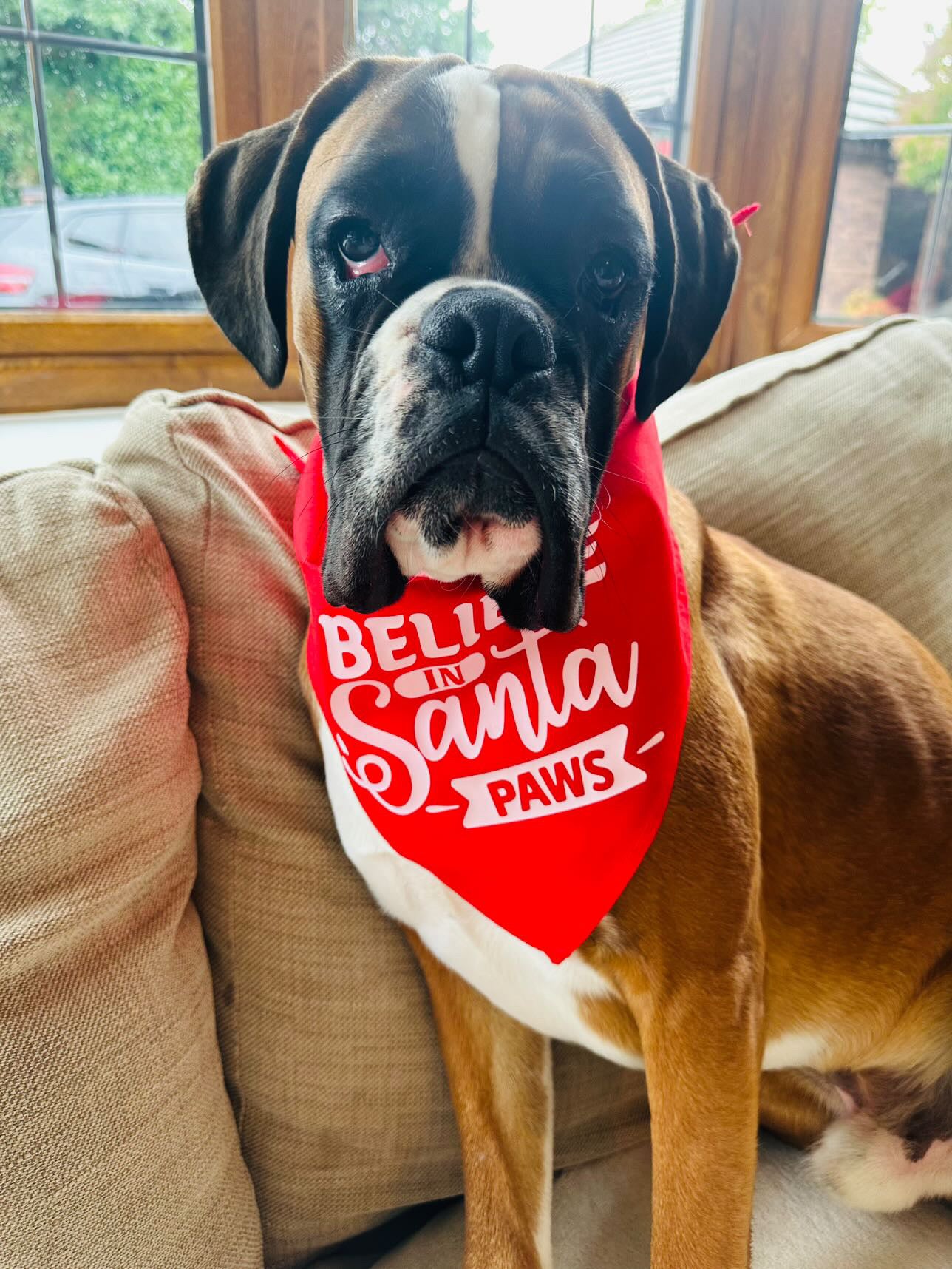 Christmas Pet Bandana | One Size | Choose Design