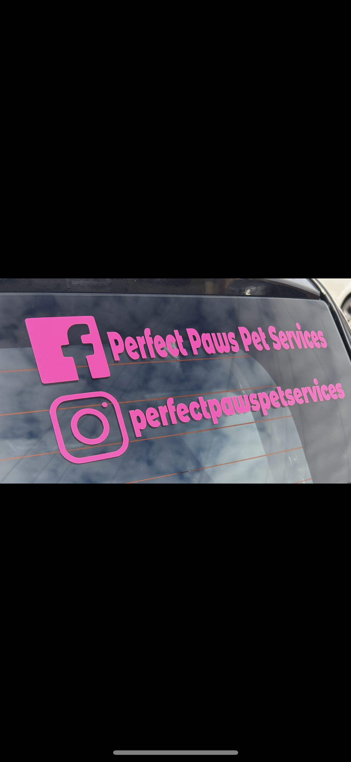 Pink 'Perfect Paws Pet Services' logo on a car window with Facebook and Instagram icons.