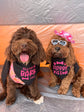Funny Pet  Bandana | Choose Design