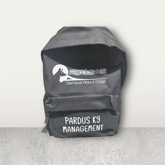 Branded business backpack showing personalised logo design